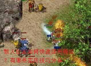 ɢ�������ο��������ȼ�������Щʵ�ü��ɷ�����