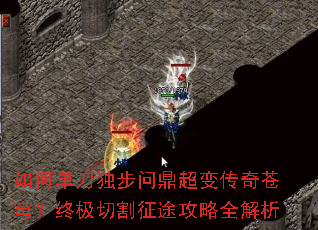 ��ε��������ʶ����䴫���񷣿�ռ��и���;����ȫ����