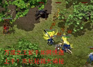 ���֮��������ο������֣������ؼ������