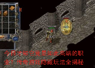 ���ղ�֪��������˸߶˵�ְҵ��������Ϸ�����淨ȫ����