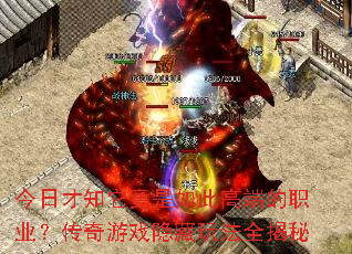 ���ղ�֪��������˸߶˵�ְҵ��������Ϸ�����淨ȫ����