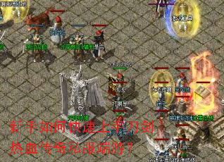 ������ο������ֵ�����Ѫ����˽�����Σ�