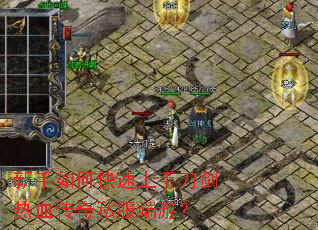 ������ο������ֵ�����Ѫ����˽�����Σ�