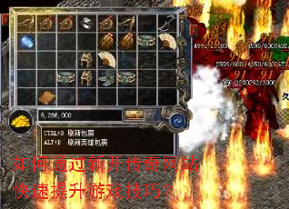 ���ͨ���¿�������վ����������Ϸ���ɣ�