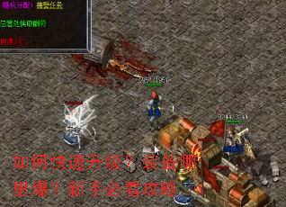 ��ο���������װ�����ﱬ�����ֱؿ�����