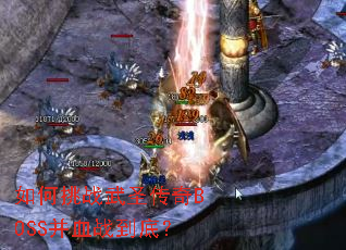 �����ս��ʥ����BOSS��Ѫս���ף�