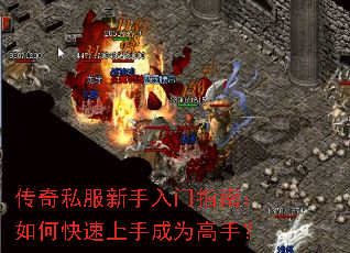 ����˽����������ָ�ϣ���ο������ֳ�Ϊ���֣�