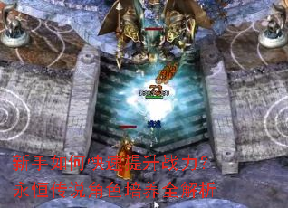 ������ο�������ս�������㴫˵��ɫ����ȫ����