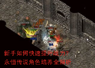 ������ο�������ս�������㴫˵��ɫ����ȫ����