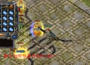 ������ο�������900����