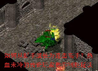 ��δ����ֳɳ�Ϊ�������֣���Ѫδ��Ĵ�����ҽ�����ʤ�ؾ�