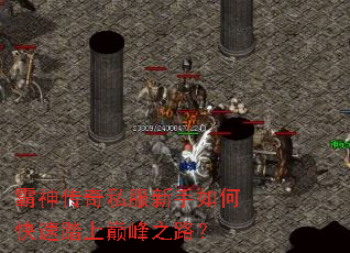 ������˽��������ο���̤���۷�֮·��