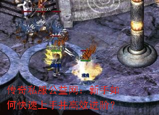 ����˽����������������ο������ֲ���Ч���ף�