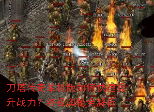 �������浥������ο�������ս�����ռ�����ȫ����