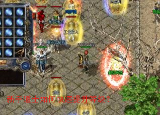 ���ֵ�ʿ��ο��������ȼ���