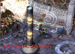 ���ֵ�ʿ��ο��������ȼ���