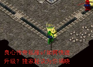 ���Ĵ���˽��sf��ο��������������ؾ�Ϊ�����