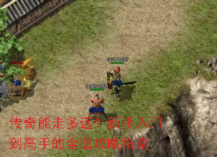 �������߶�Զ���������ŵ����ֵ�ȫ�湥��ָ��