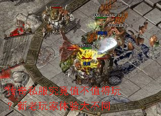 ����˽������ֵ��ֵ���棿������������ͬ