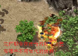 ��ʦְҵ�ڴ�����Ϸ�о�������Щ������������ƣ�