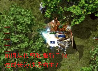 如何从传奇私服新手快速成长为沙场霸主? 如何从传奇私服新手快速成长为沙场霸主?