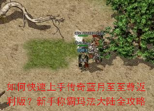 如何快速上手传奇蓝月至至尊返利版?新手称霸玛法大陆全攻略 如何快速上手传奇蓝月至至尊返利版?新手称霸玛法大陆全攻略
