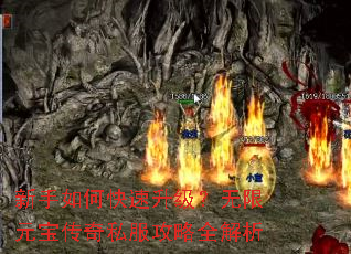 新手如何快速升级?无限元宝传奇私服攻略全解析 新手如何快速升级?无限元宝传奇私服攻略全解析