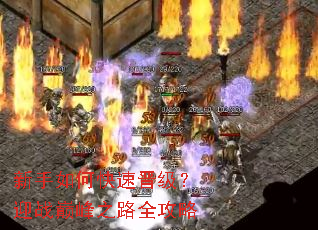 新手如何快速晋级?迎战巅峰之路全攻略 新手如何快速晋级?迎战巅峰之路全攻略