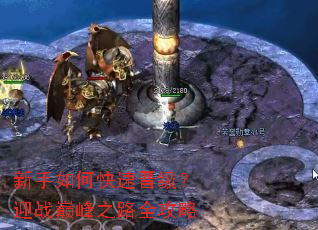 新手如何快速晋级?迎战巅峰之路全攻略 新手如何快速晋级?迎战巅峰之路全攻略