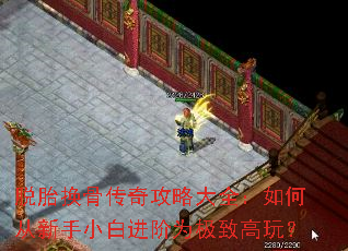 ��̥���Ǵ��湥�Դ�ȫ����δ�����С�׽���Ϊ���¸��棿