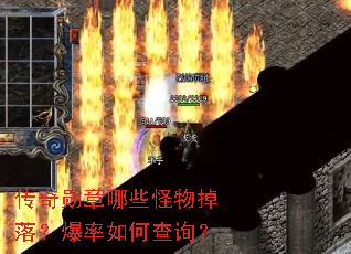 传奇勋章哪些怪物掉落?爆率如何查询? 传奇勋章哪些怪物掉落?爆率如何查询?