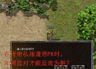 �ڴ���˽������PKʱ�����Ӧ�Բ��ܷ���Ϊʤ��