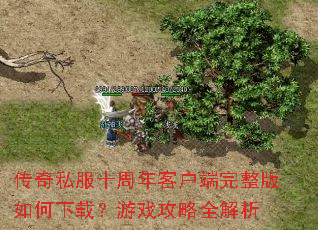 传奇私服十周年客户端完整版如何下载?游戏攻略全解析 传奇私服十周年客户端完整版如何下载?游戏攻略全解析