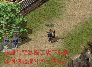 热血传奇私服正版下载后如何快速提升角色等级? 热血传奇私服正版下载后如何快速提升角色等级?
