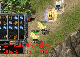 主宰翅膀拥有哪些独特属性与升级攻略? 主宰翅膀拥有哪些独特属性与升级攻略?