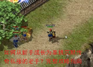 如何从新手成长为单挑沉默传奇私服的老手?完整攻略指南 如何从新手成长为单挑沉默传奇私服的老手?完整攻略指南