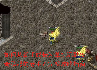 如何从新手成长为单挑沉默传奇私服的老手?完整攻略指南 如何从新手成长为单挑沉默传奇私服的老手?完整攻略指南