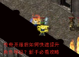 传奇开服后如何快速提升角色等级?新手必看攻略 传奇开服后如何快速提升角色等级?新手必看攻略