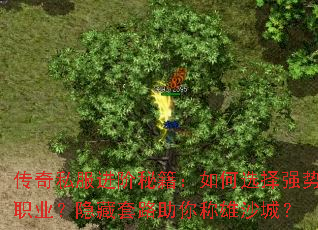 传奇私服进阶秘籍:如何选择强势职业?隐藏套路助你称雄沙城? 传奇私服进阶秘籍:如何选择强势职业?隐藏套路助你称雄沙城?
