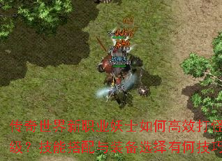 传奇世界新职业妖士如何高效打怪升级?技能搭配与装备选择有何技巧? 传奇世界新职业妖士如何高效打怪升级?技能搭配与装备选择有何技巧?