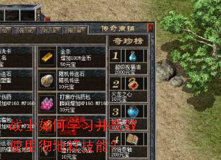 战士如何学习并高效使用彻地钉技能? 战士如何学习并高效使用彻地钉技能?