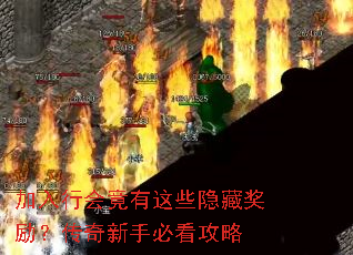 �����лᾹ����Щ���ؽ������������ֱؿ�����