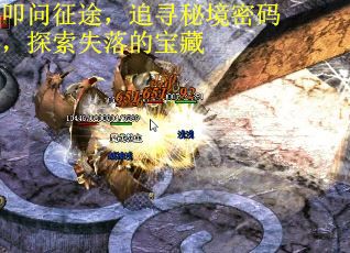 叩问征途，追寻秘境密码，探索失落的宝藏