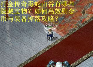 打金传奇毒蛇山谷有哪些隐藏宝物？如何高效刷金币与装备掉落攻略？