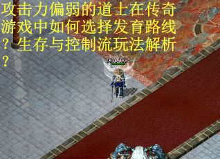 攻击力偏弱的道士在传奇游戏中如何选择发育路线？生存与控制流玩法解析？