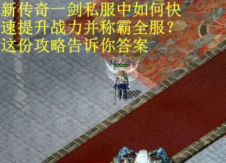 新传奇一剑私服中如何快速提升战力并称霸全服？这份攻略告诉你答案