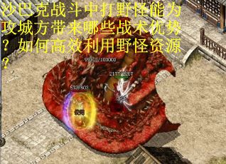 沙巴克战斗中打野怪能为攻城方带来哪些战术优势？如何高效利用野怪资源？