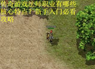传奇游戏法师职业有哪些核心特点？新手入门必看攻略
