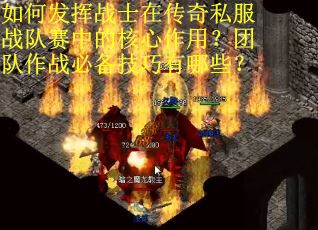 如何发挥战士在传奇私服战队赛中的核心作用？团队作战必备技巧有哪些？