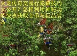 火龙传奇交易行隐藏技巧大公开？怎样利用神秘功能快速获取金币与极品装备